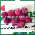 Freeze Dryer Machine Lyophilizer Fruit Freeze Dryer